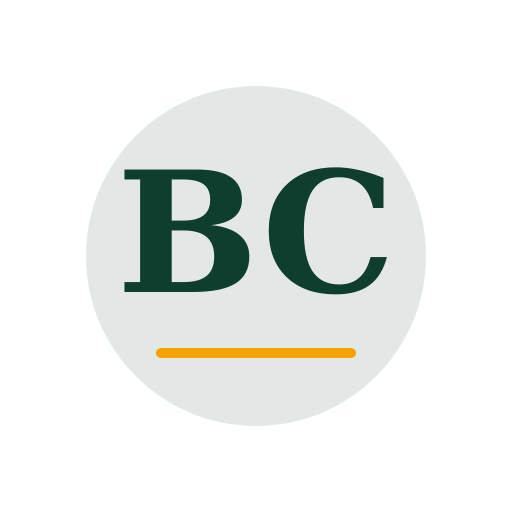 Bison Chimney Cleaning logo